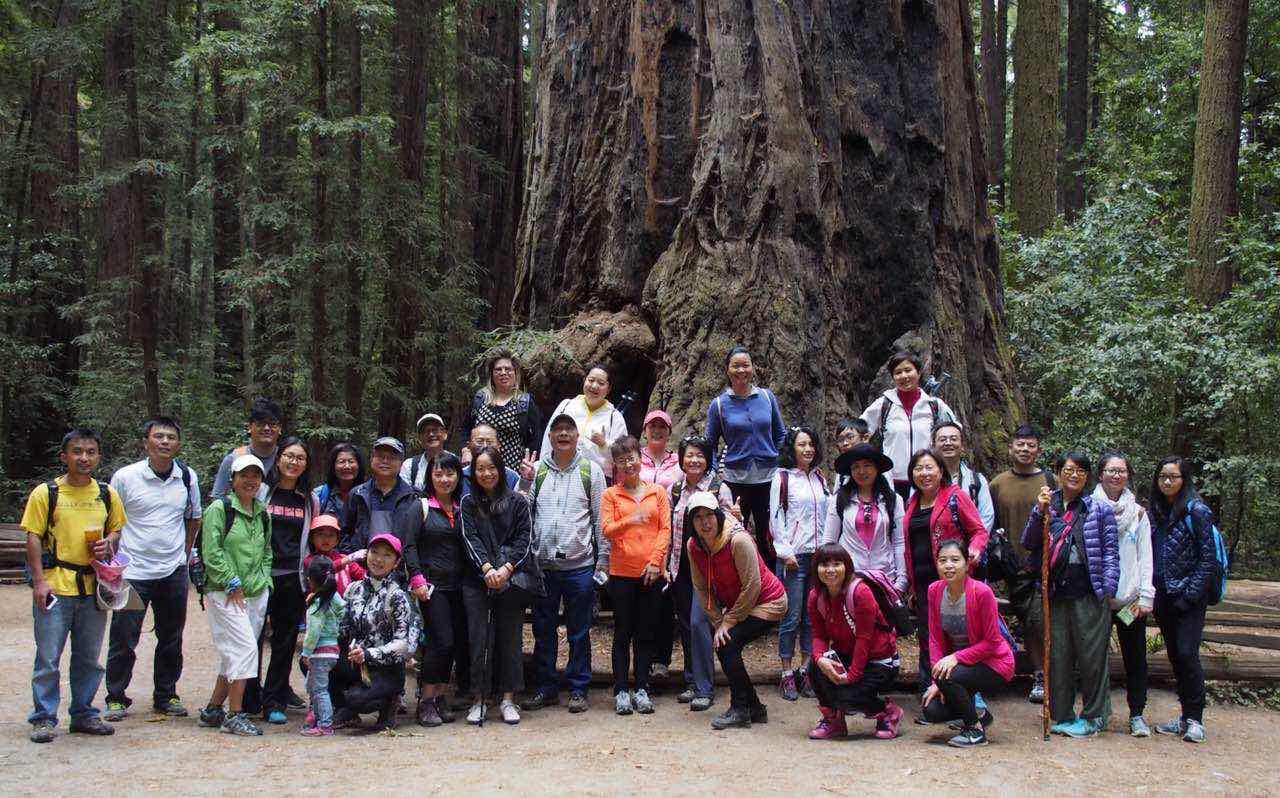henry cowell redwoods state park_group photo