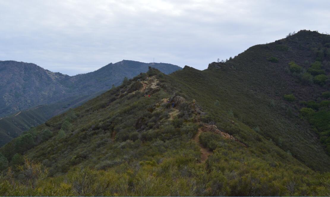 Mount Diablo Eagle Peak Trail44