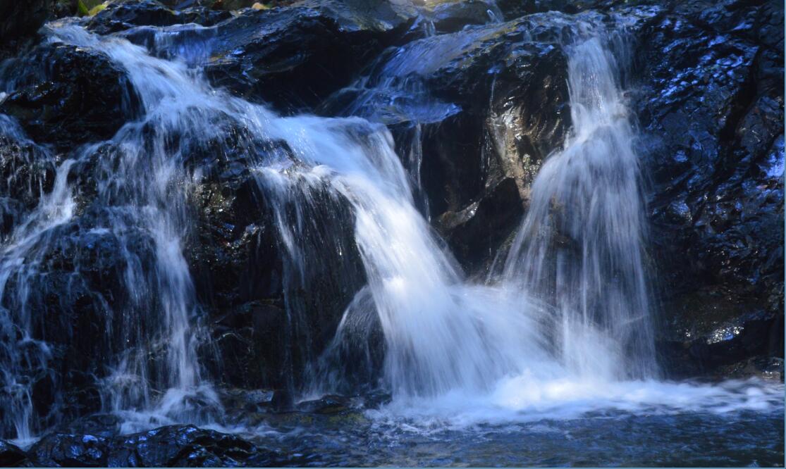 Uvas Canyon County Park Waterfall Loop10