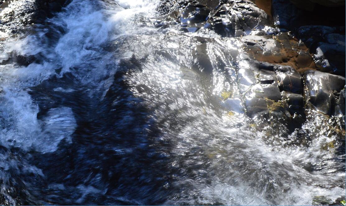 Uvas Canyon County Park Waterfall Loop11