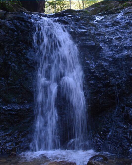 Uvas Canyon County Park Waterfall Loop15_4