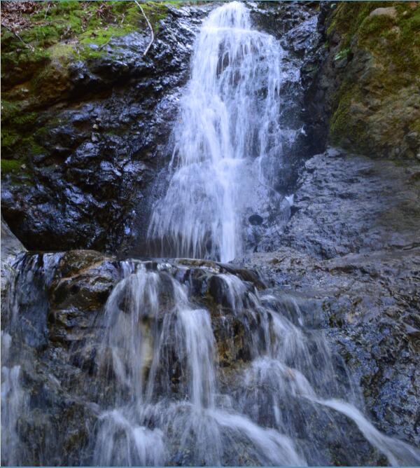 Uvas Canyon County Park Waterfall Loop18_5