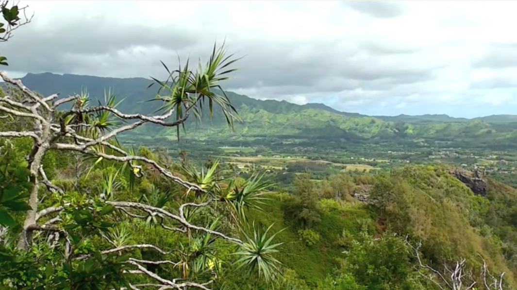 sleeping-giant-moutain-trail-nounou-mountain-kauai-hawaii4